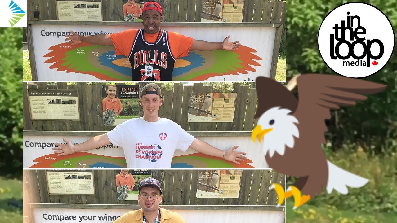 Mountsberg Birds of Prey