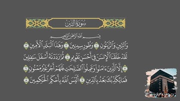 عبدالباسط عبدالصمد  سورة التين  مجود