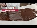 Understanding Chocolate Tempering and Physics