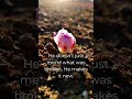 Your Scars Hold a Secret: Find Out What the Bible Says Mp3 Song