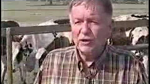 rbST in American Dairies - Bovine Growth Hormone