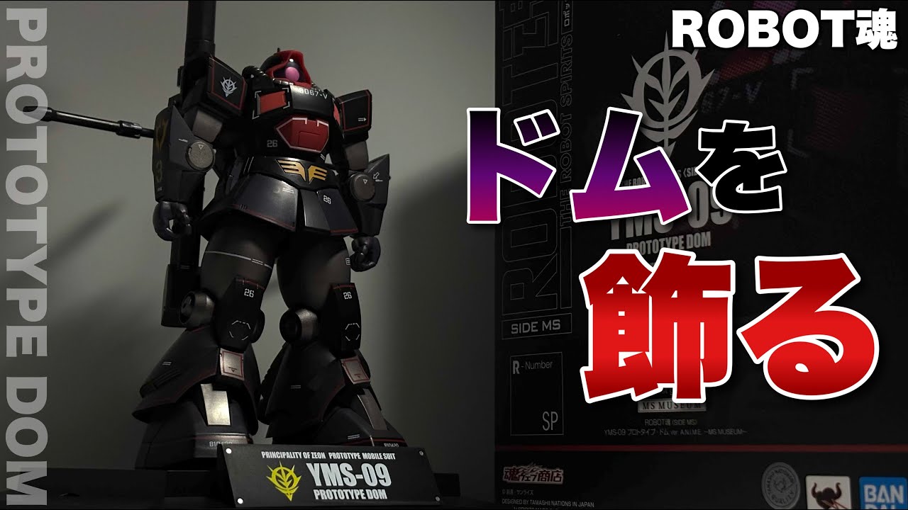 ROBOT SPIRITS SIDE MS ] YMS-09 Prototype Dom ver. A.N.I.M.E. ~MS