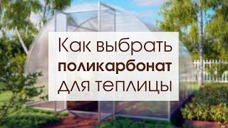 видео Как выбрать поликарбонат для теплицы правильно