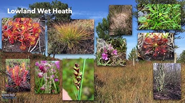 Habitat Indicator Species Trailer