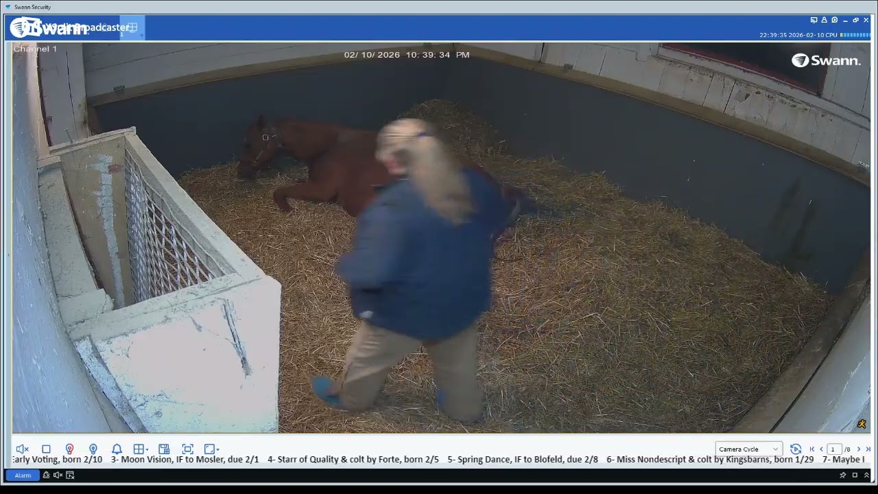 26 Trouville colt by City of Light, born 2/10/26 @ 10:46 pm