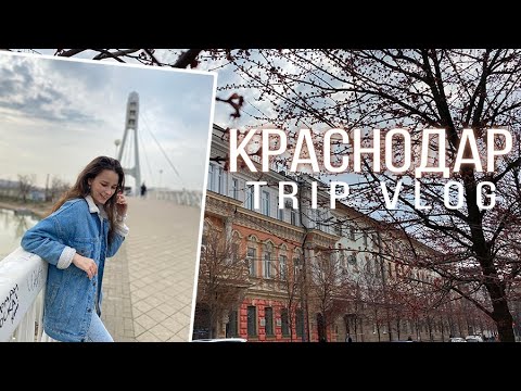 Trip Vlog | Краснодар за 1 день | Что посмотреть & посетить в Краснодаре | Улица Красная | Мост