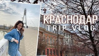 Trip Vlog | Краснодар за 1 день | Что посмотреть & посетить в Краснодаре | Улица Красная | Мост