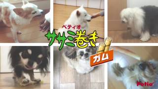 2月3日は「ササミ巻きガムの日
