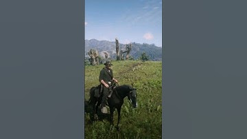Arthur Morgan Finds the Roanoke Ridge Hill Dreamcatchers