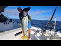 Catching giant kingfish  yellowtail at the holy grail  mount vema