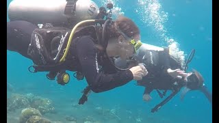 La Bila Diving - Adrienne and Julia - December 27, 2019