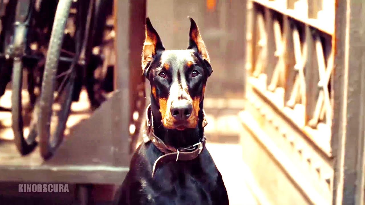 Hugo (2011) -  Maximilian Chasing Hugo Cabret