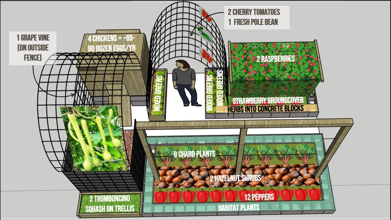 Пример дизайна сада, позволяющего сэкономить на расходах на продукты