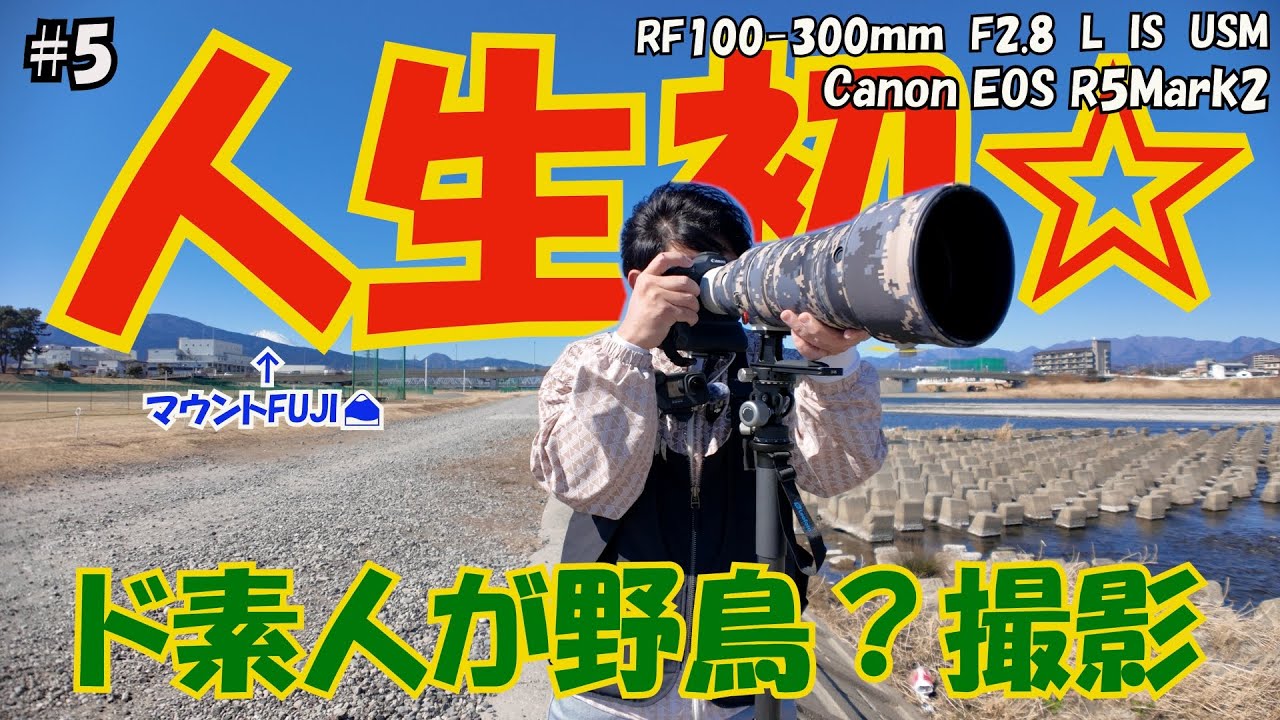 5 人生初☆彡ド素人が野鳥撮影に挑戦しました♬【RF100-300mm L IS USM