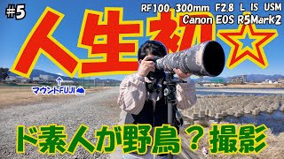 5 人生初☆彡ド素人が野鳥撮影に挑戦しました♬【RF100-300mm L IS USM