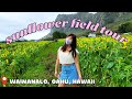 SUNFLOWER FIELD & FOOD TOUR [Oahu, Hawaii] || Exploring & Eating [Mukbang & Reviews]