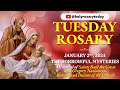 TUESDAY HOLY ROSARY 💛 JANUARY 2, 2024 💛 SORROWFUL MYSTERIES OF THE ROSARY [VIRTUAL] #holyrosarytoday