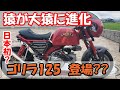 【ゴリラ125を手に入れる】モンキー125をゴリラ125に出来るパーツ装備
