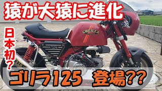 【ゴリラ125を手に入れる】モンキー125をゴリラ125に出来るパーツ装備