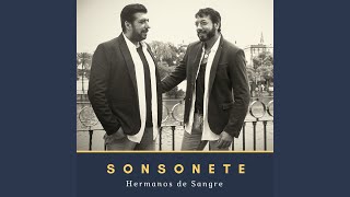 Video thumbnail of "Sonsonete - Te Vi Venir"