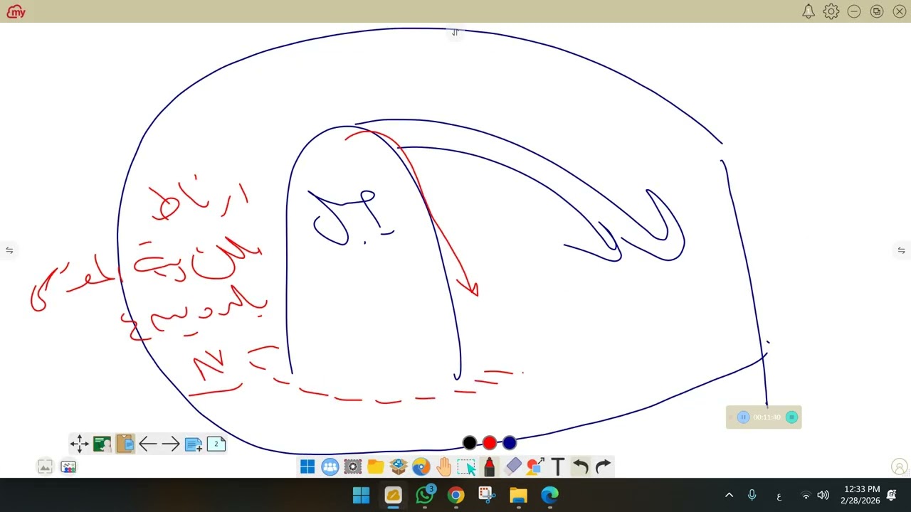 الايوبيه 6ب