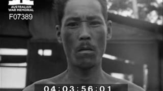 Japanese prisoner of war camp Morotai @collectionawm