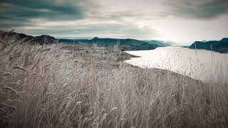 Gladiator   Tranquil Ambient Soundscape with Iconic Music from the Epic Film