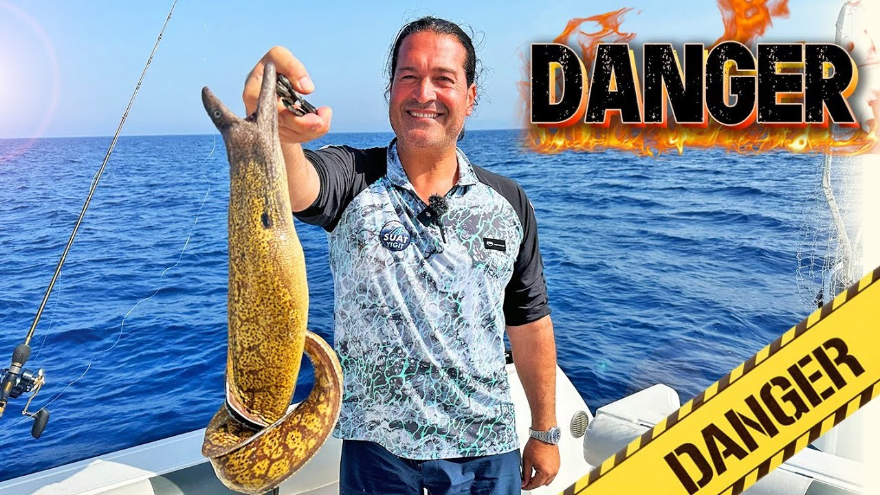 Посмотрите, что мы поймали из 15 кальмаров!