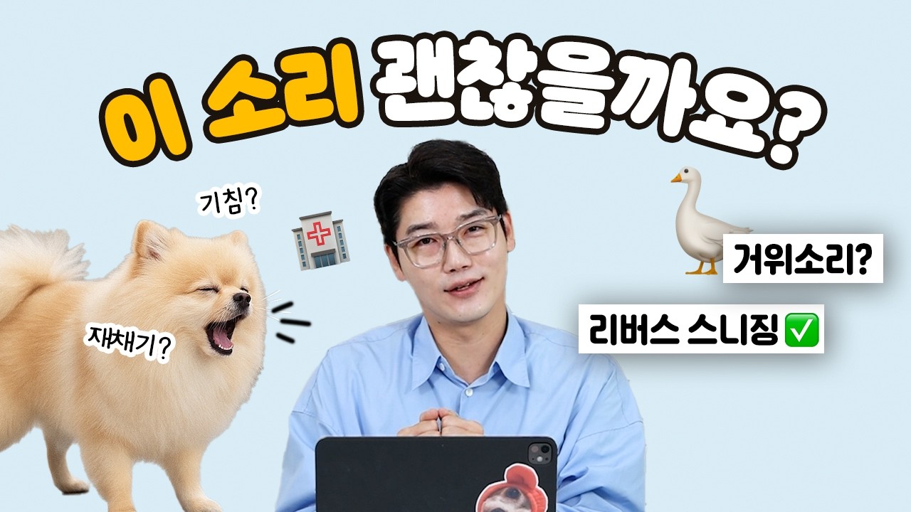 [🎁EVENT] 강아지 기침 아니 역재채기? 리버스스니징 원인과 대처법 | 설채현 행동학 수의사