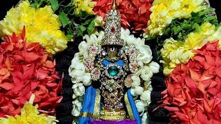 My Home Deity Sri Srinivasa Perumal Vaikunda Ekadasi Utsavam