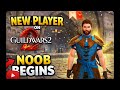 New Player Tries Guild Wars 2...This happened