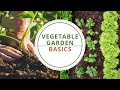 Vegetable garden basics for north texas