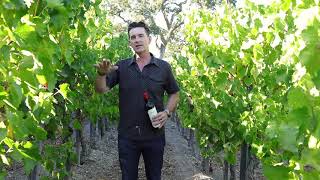 Learn About The Paso Robles Wine Region and Cabernet Sauvignon With Austin Hope