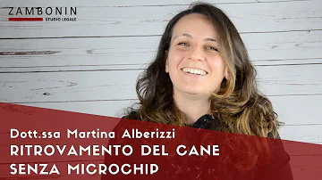 Quanto si paga per mettere il microchip al cane?