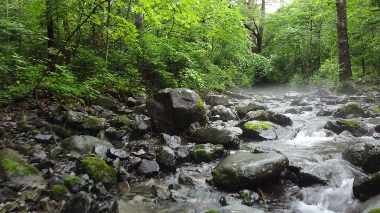 Река кема приморский край. Уссурийская тайга река уссури. Таёжная река сихотэ алинь. Река милоградовка приморский. Пороги в карелии.