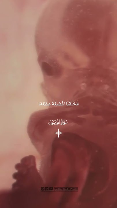 surah-al-mu-minun-chapter-23-verse-12-to-16-quran-religion