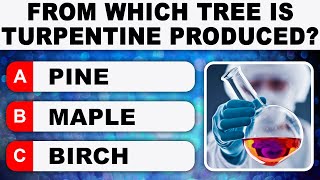 50 General Knowledge Questions  FROM WHICH TREE IS TURPENTINE MADE? | Daily Trivia Quiz Round 26