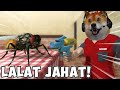 RESTORAN OBIT BANGKRUT GARA-GARA LALAT!!! - Fly Simulator