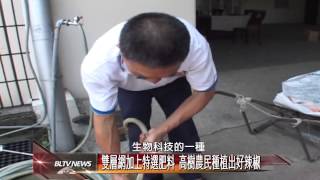 20140501 用心培育特大號辣椒價格較市面高上一倍