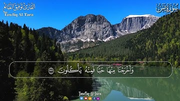 سورةيس+الملك+الرحمن+الواقعةتلاوة هادئة تريح القلب😴😌💚 القارئ توفيق الطائع💚