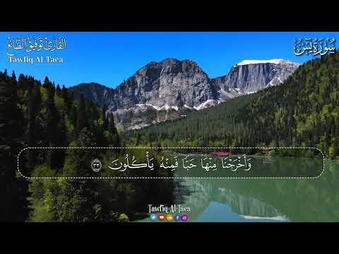 سورةيس الملك الرحمن الواقعةتلاوة هادئة تريح القلب القارئ توفيق الطائع