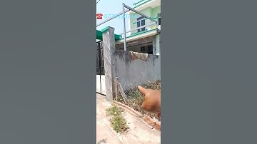 thổ cư 4x26 nở hậu 4,4m đường xe hơi shr cách quốc lộ 30m|bds cần giuộc long an #Shorts