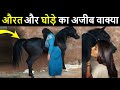 एक औरत और घोड़े की यह कहानी सुनकर आप हैरान हो जाओगे // True Story Of Woman And Horse