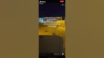 صدام يابو عداي ليموني ياليموني تصميم صدام يابو عداي 