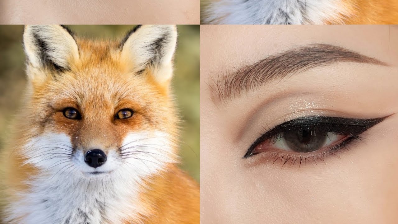 Những mẹo Vẽ eyeliner mắt cáo đậm nét và bền lâu