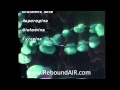  reboundair  part 35 al carters healthy cell concept  cell food exercise mini trampolines