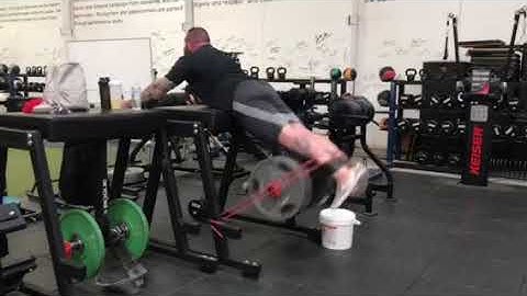 Reverse Hyper Against Mini Band