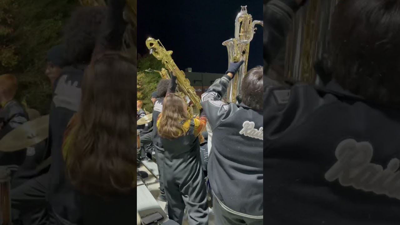 Low reeds in the stands