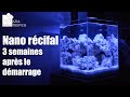 Aquarium nano recifal  3 semaines apres le demarrage