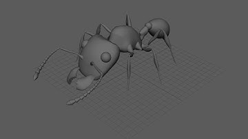 Maya: Ant Model